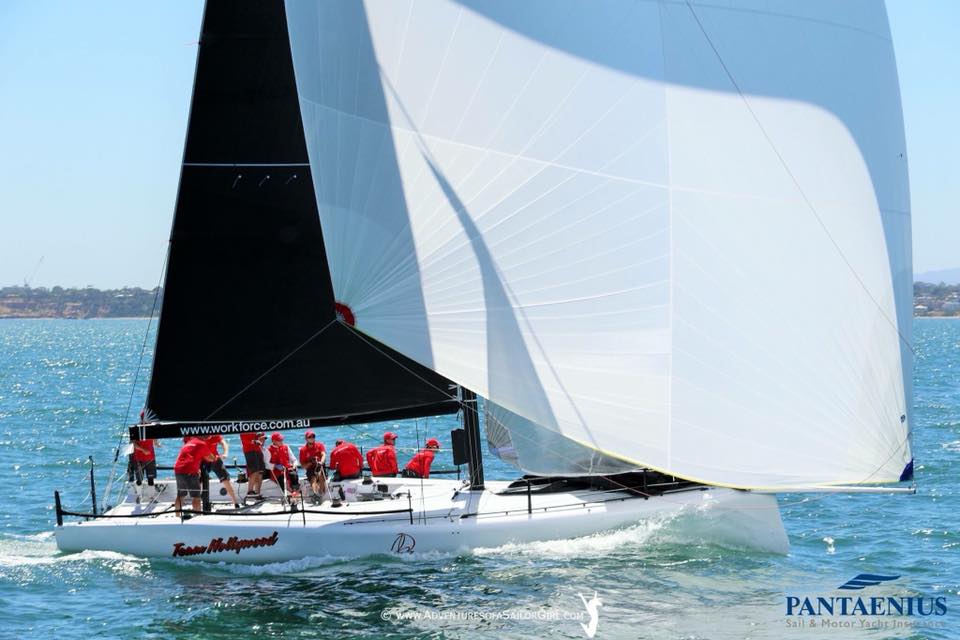 Team Hollywood chooses Hauraki Fenders